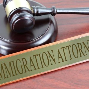 Main Reasons Of Any Immigration Law